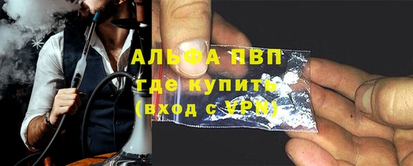 прущие грибы Балабаново