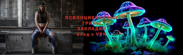 прущая мука Михайлов