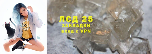 прущие грибы Балабаново