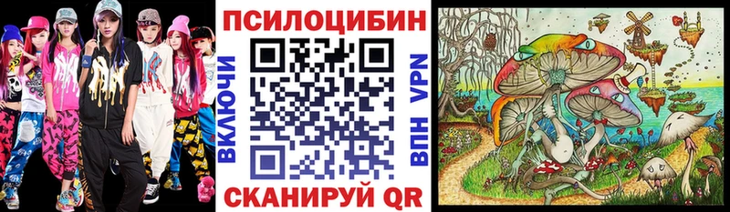 купить Осташков Псилоцибиновые грибы Magic Shrooms