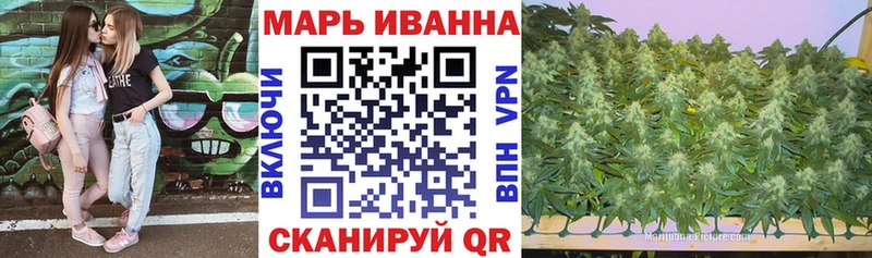 наркотики  Осташков  Бошки Шишки марихуана 